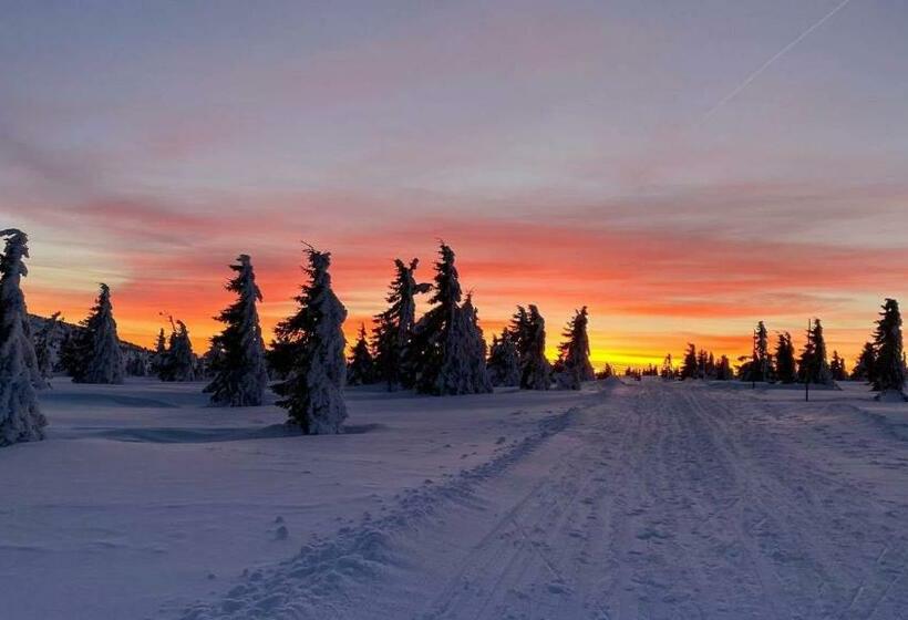 בית מלון כפרי Petski