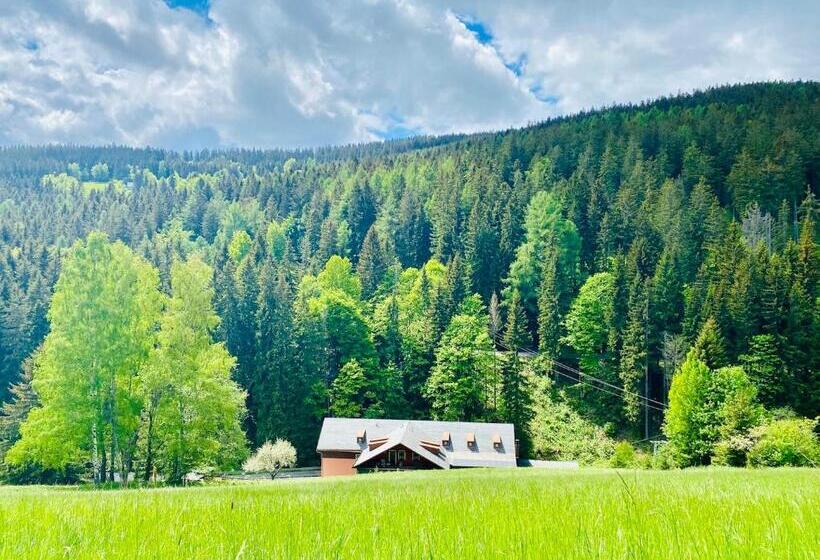 בית מלון כפרי Petski