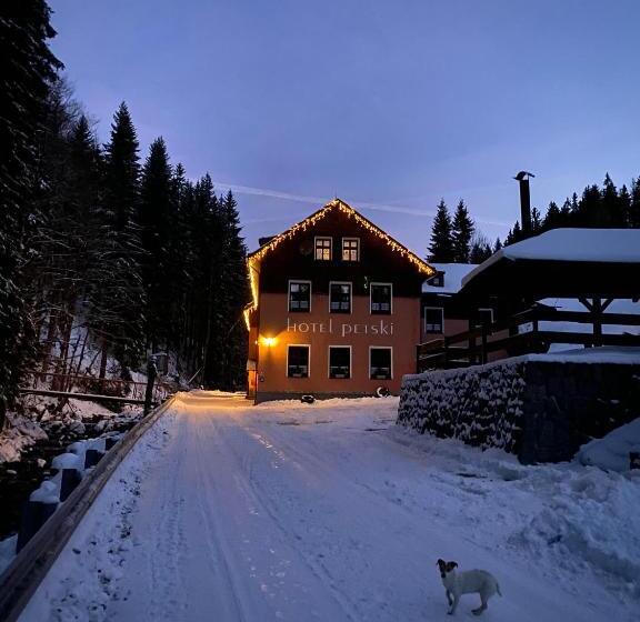 בית מלון כפרי Petski