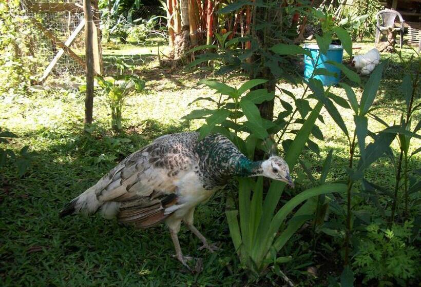 ホテル Piscina Natural On The Sea