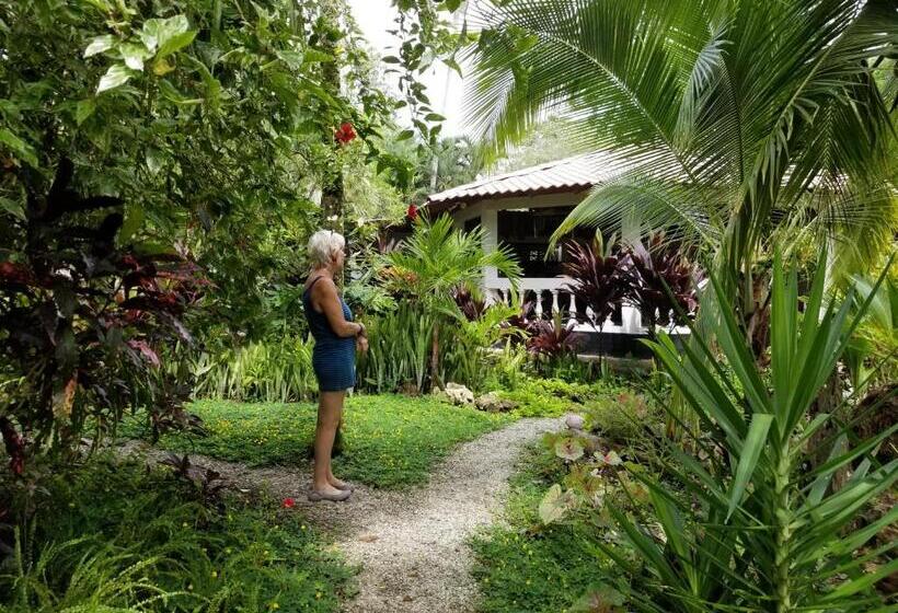 ホテル Piscina Natural On The Sea