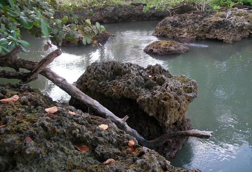 ホテル Piscina Natural On The Sea