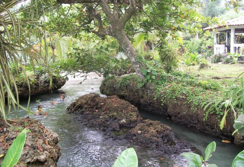 ホテル Piscina Natural On The Sea
