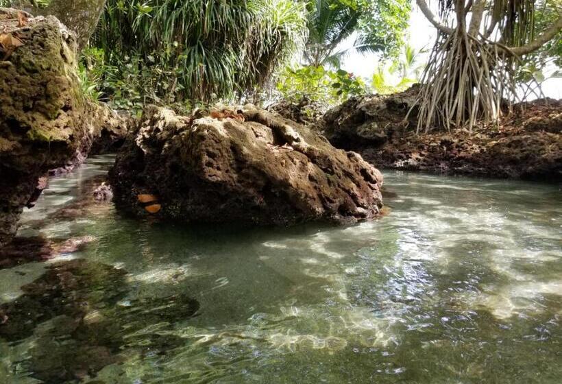 ホテル Piscina Natural On The Sea