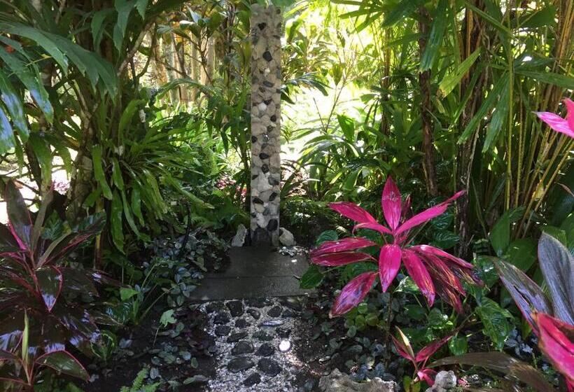 ホテル Piscina Natural On The Sea