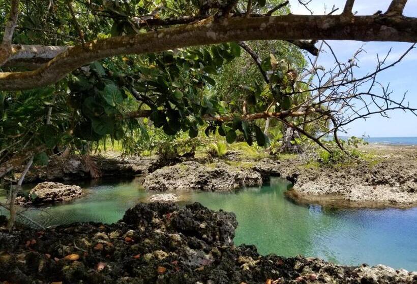 ホテル Piscina Natural On The Sea