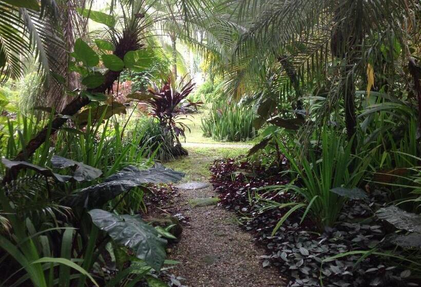 ホテル Piscina Natural On The Sea