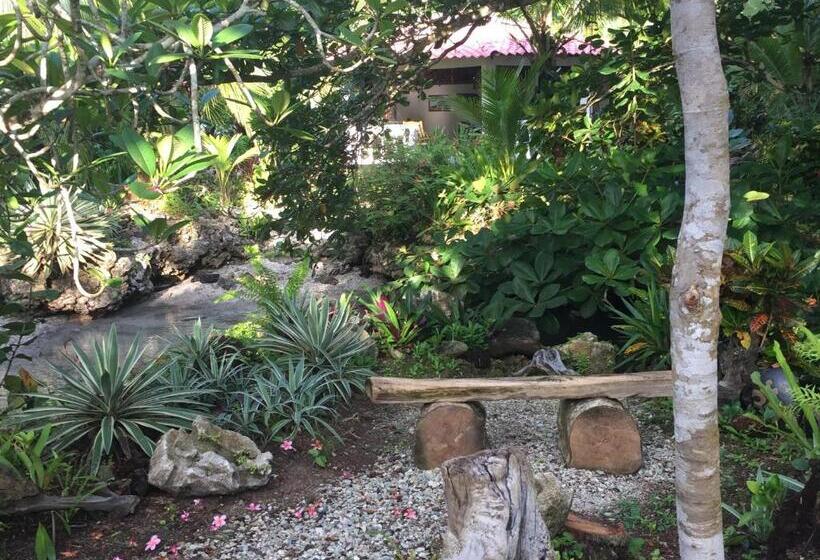 ホテル Piscina Natural On The Sea