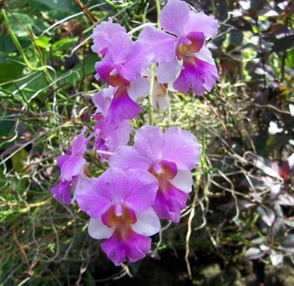 ホテル Piscina Natural On The Sea