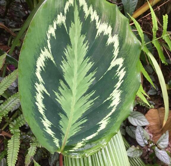 ホテル Piscina Natural On The Sea