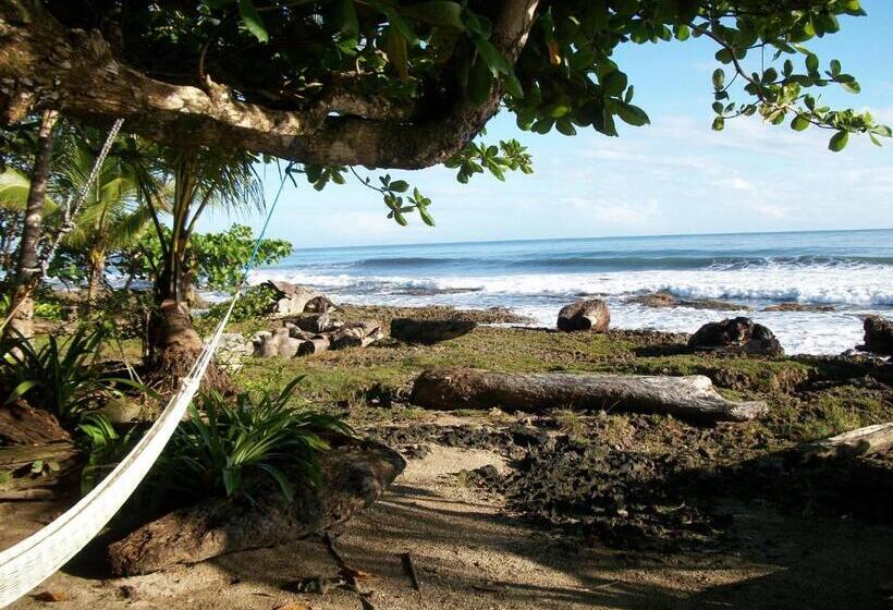 ホテル Piscina Natural On The Sea