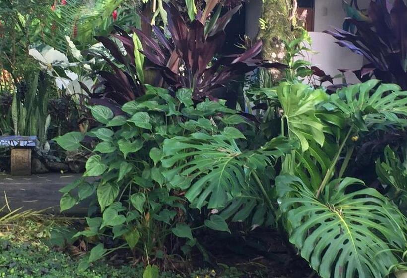 ホテル Piscina Natural On The Sea