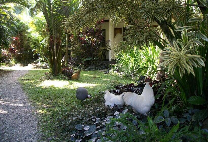 ホテル Piscina Natural On The Sea