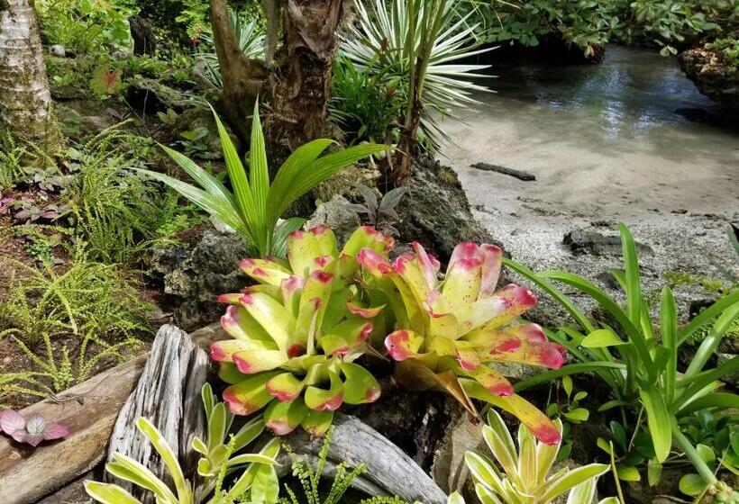 ホテル Piscina Natural On The Sea