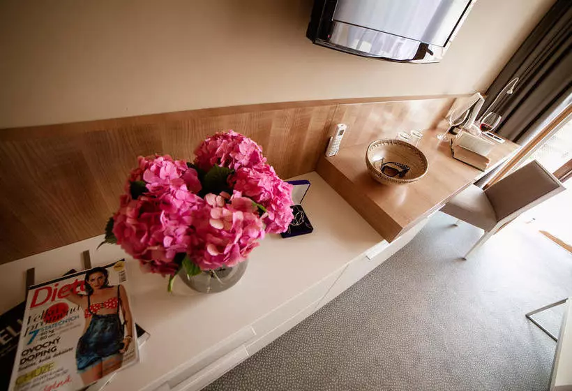 Hotel Spa Resort Lednice