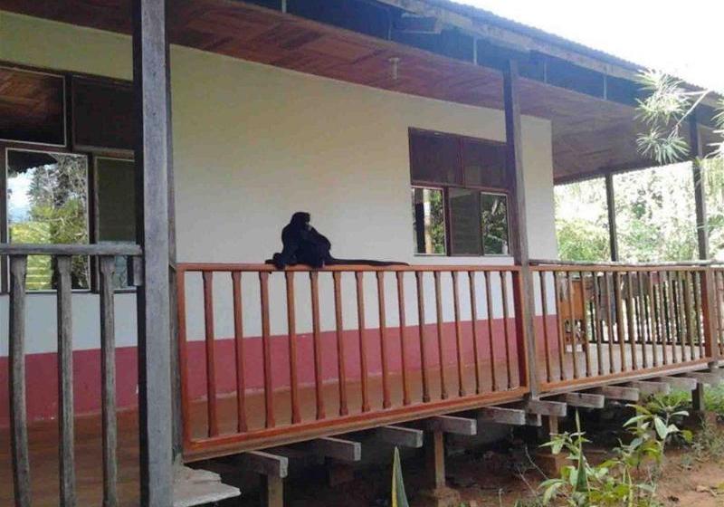 هتل Tarantula Hostel