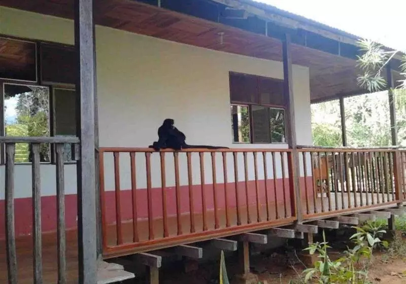 ホテル Tarantula Hostel