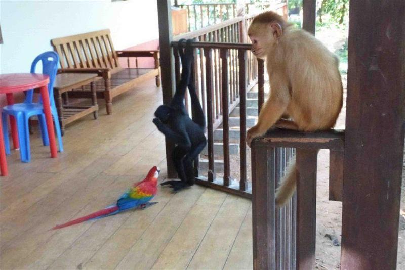 هتل Tarantula Hostel