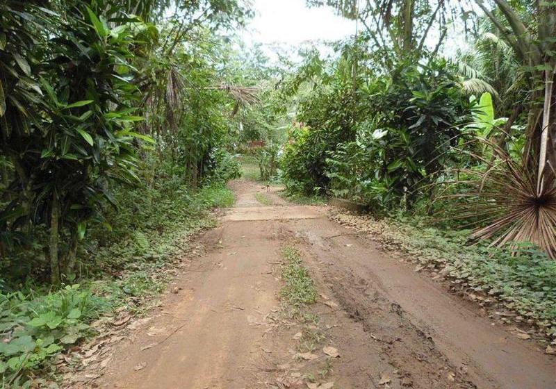 هتل Tarantula Hostel