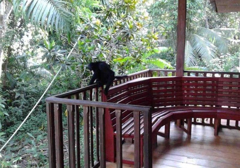 هتل Tarantula Hostel