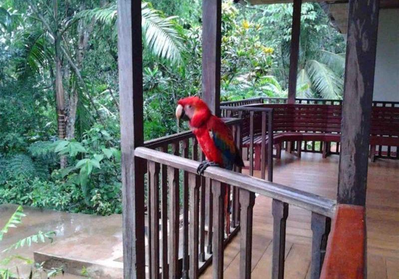 هتل Tarantula Hostel