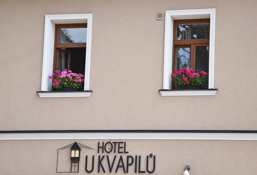 Hotel U Kvapilů