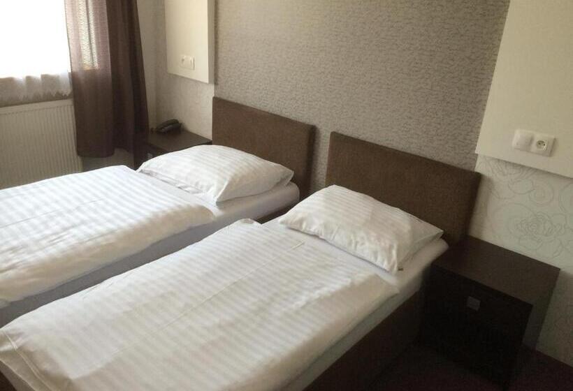 فندق صغير Promohotel Slavie