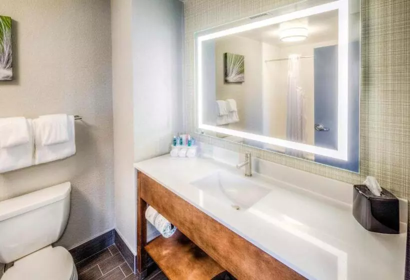 ホテル Holiday Inn Express & Suites Cleveland/westlake, An Ihg