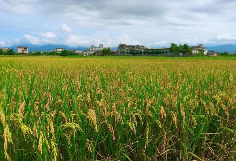 تختخواب و صبحانه Chun Feng Cao Tang Homestay