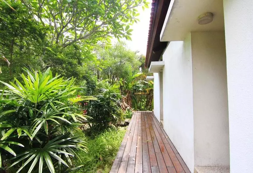 تختخواب و صبحانه Palm Villa Guesthouse