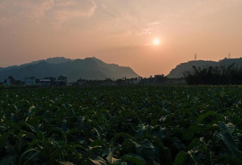 تختخواب و صبحانه Palm Villa Guesthouse