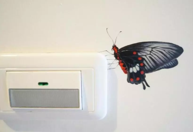 Butterfly B&b