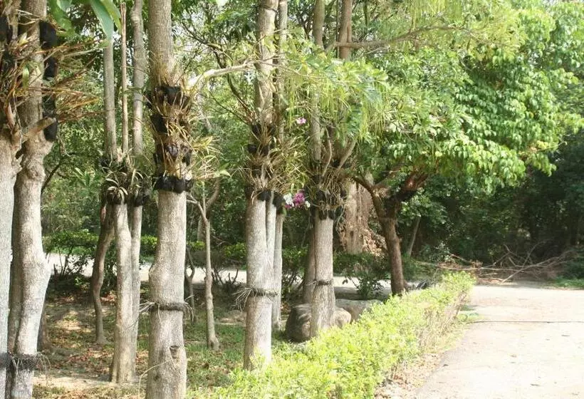 Butterfly B&b
