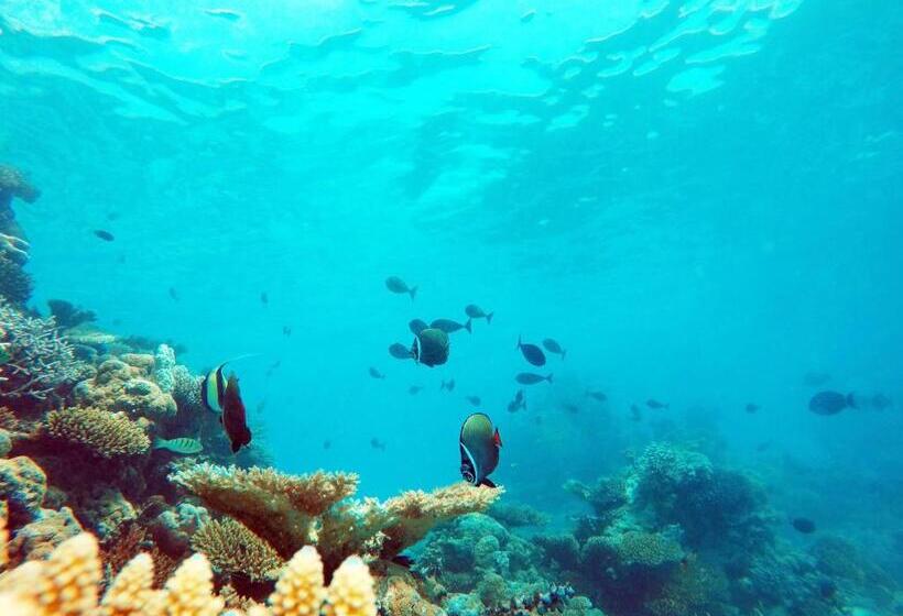 هتل Bibee Maldives