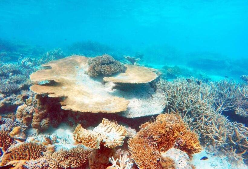 هتل Bibee Maldives