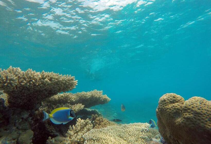 هتل Bibee Maldives