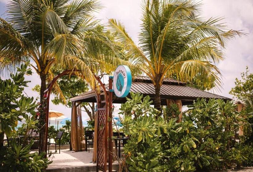 هتل Bibee Maldives