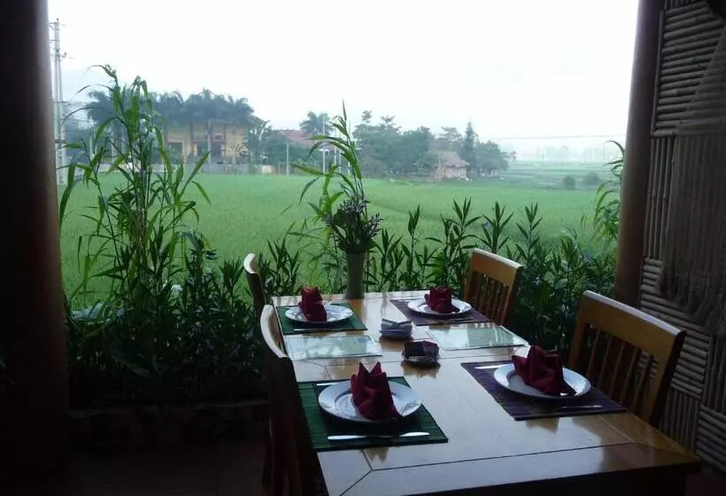 هتل Mai Chau Valley View