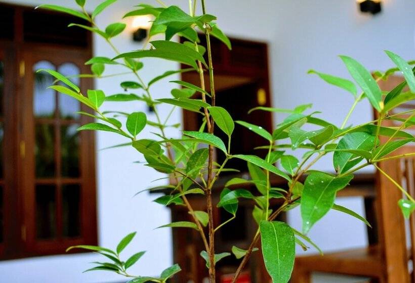 酒店 Wayside Guest