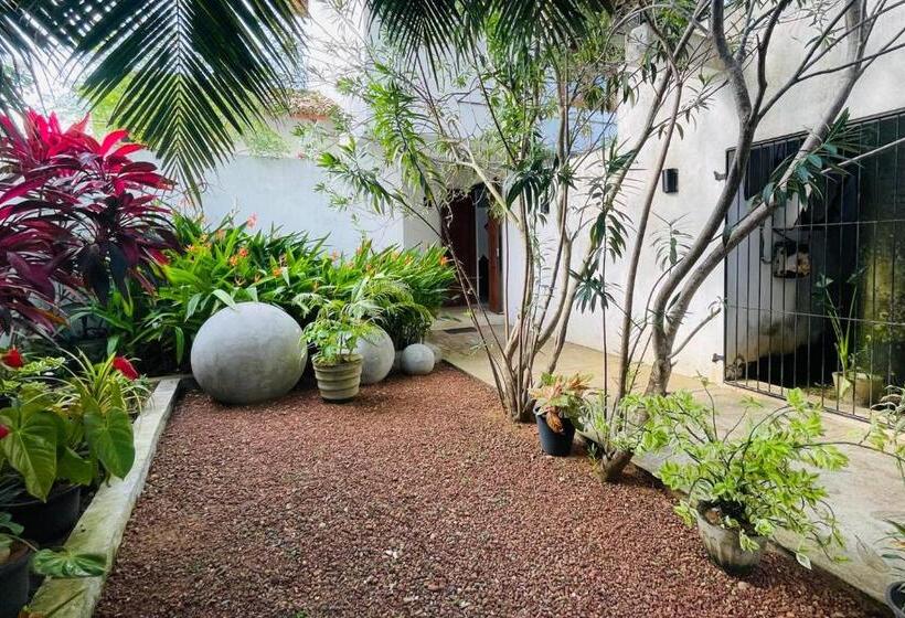 Mala Villa, Hikkaduwa