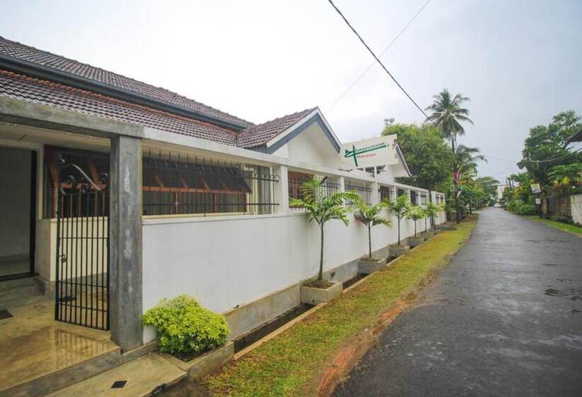 بنسيون Ambasewana Mansion