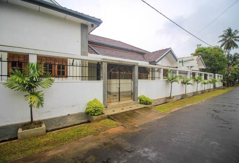 بنسيون Ambasewana Mansion