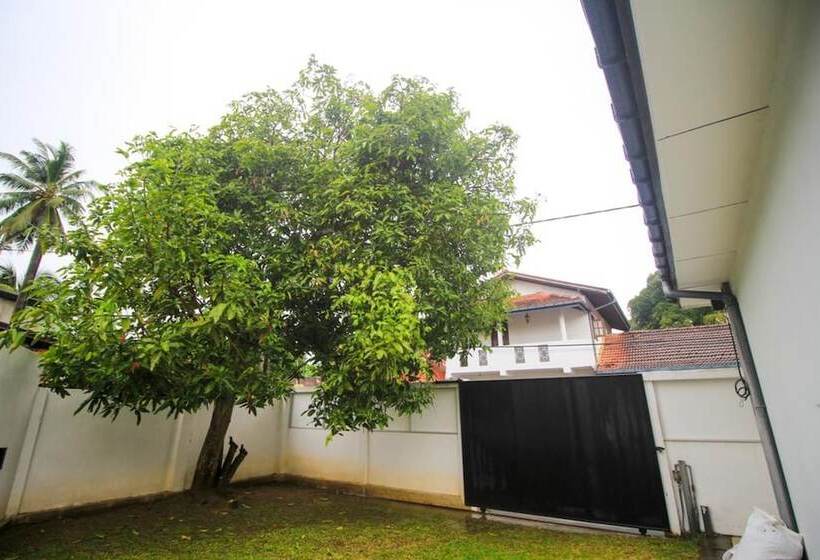 بنسيون Ambasewana Mansion