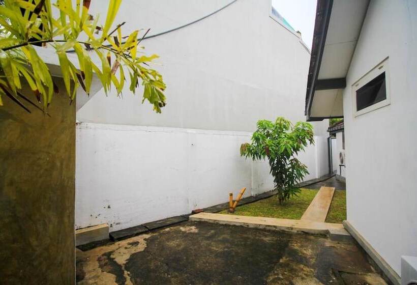 بنسيون Ambasewana Mansion