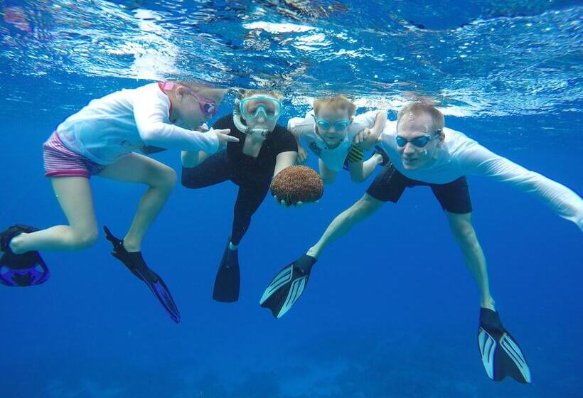 Panzió Lily Rest Maldives