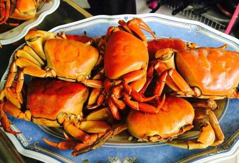 Panzió Lily Rest Maldives