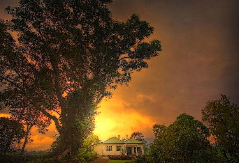 بنسيون Mandira Dickoya Bungalow