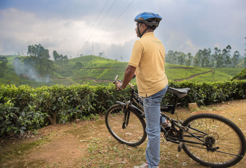 بنسيون Mandira Dickoya Bungalow