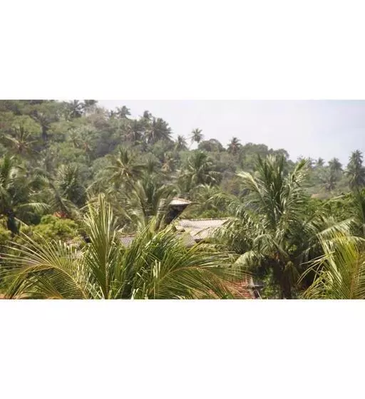 پانسیون La Villa