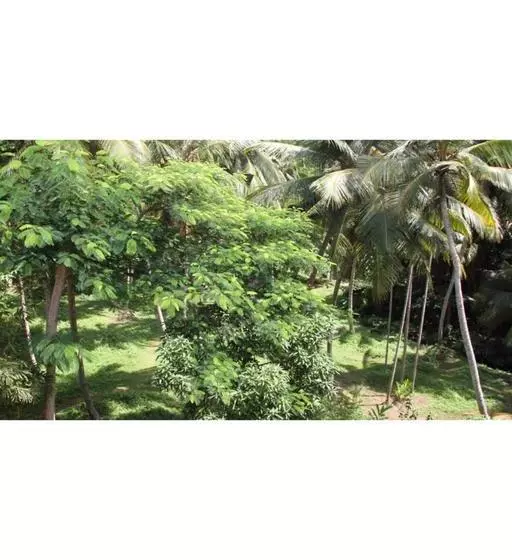 پانسیون La Villa